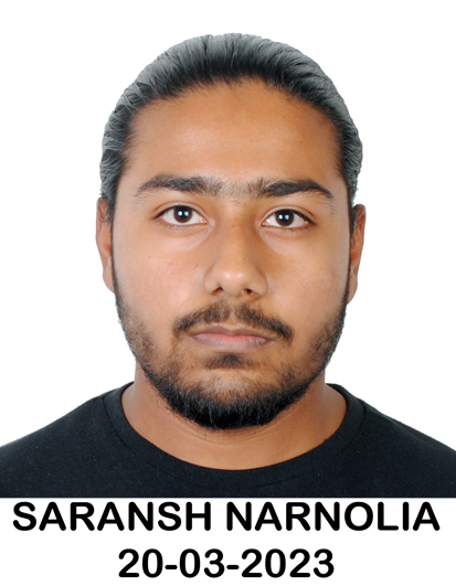 Saransh Narnolia profile photo